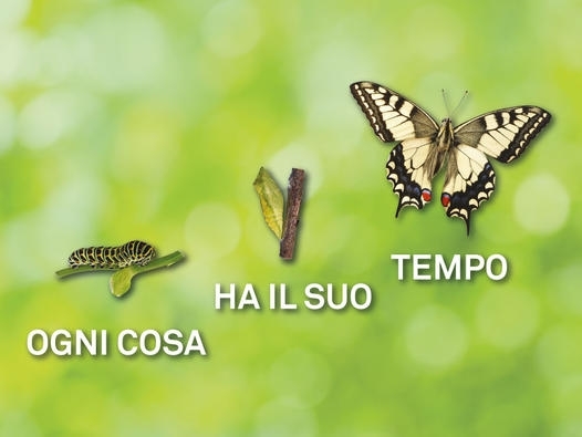 Rappresentazione visiva dell'articolo: Cosa NON è la Pianificazione Finanziaria: 5 cose da sapere.